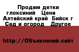 Продам детки глоксиний › Цена ­ 50 - Алтайский край, Бийск г. Сад и огород » Другое   